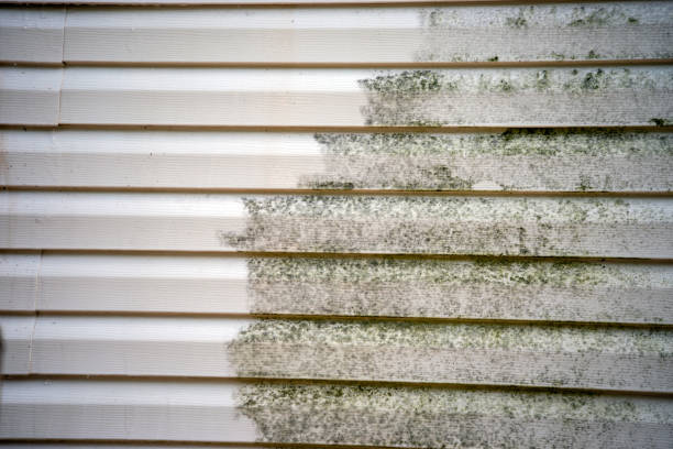 Moving and Downsizing Cleanouts in Villa Rica, GA